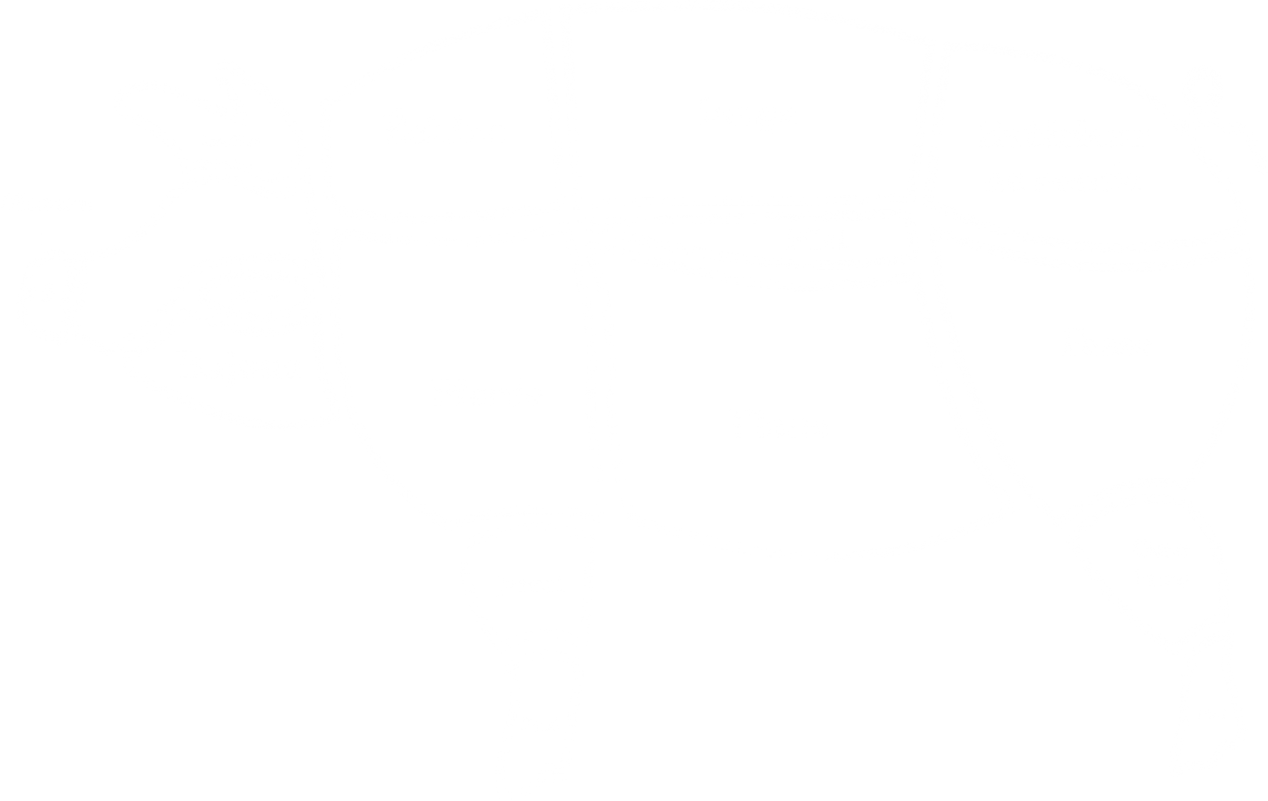 4_Schema_decoupes_de_porc